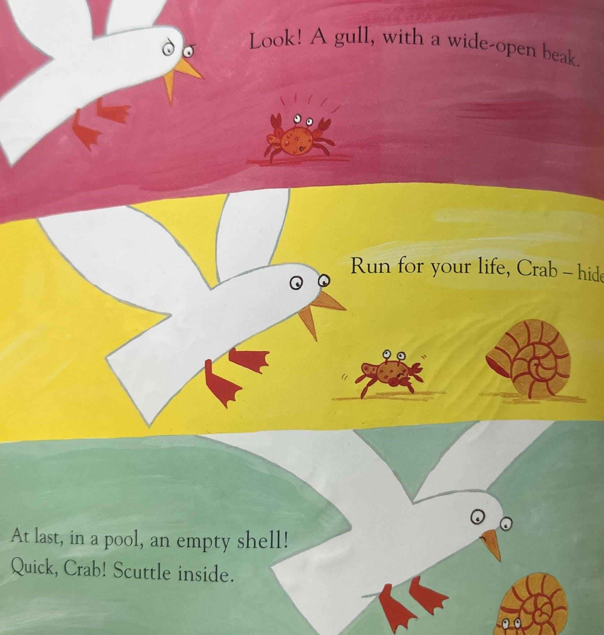 Sharing a Shell (Paperback)