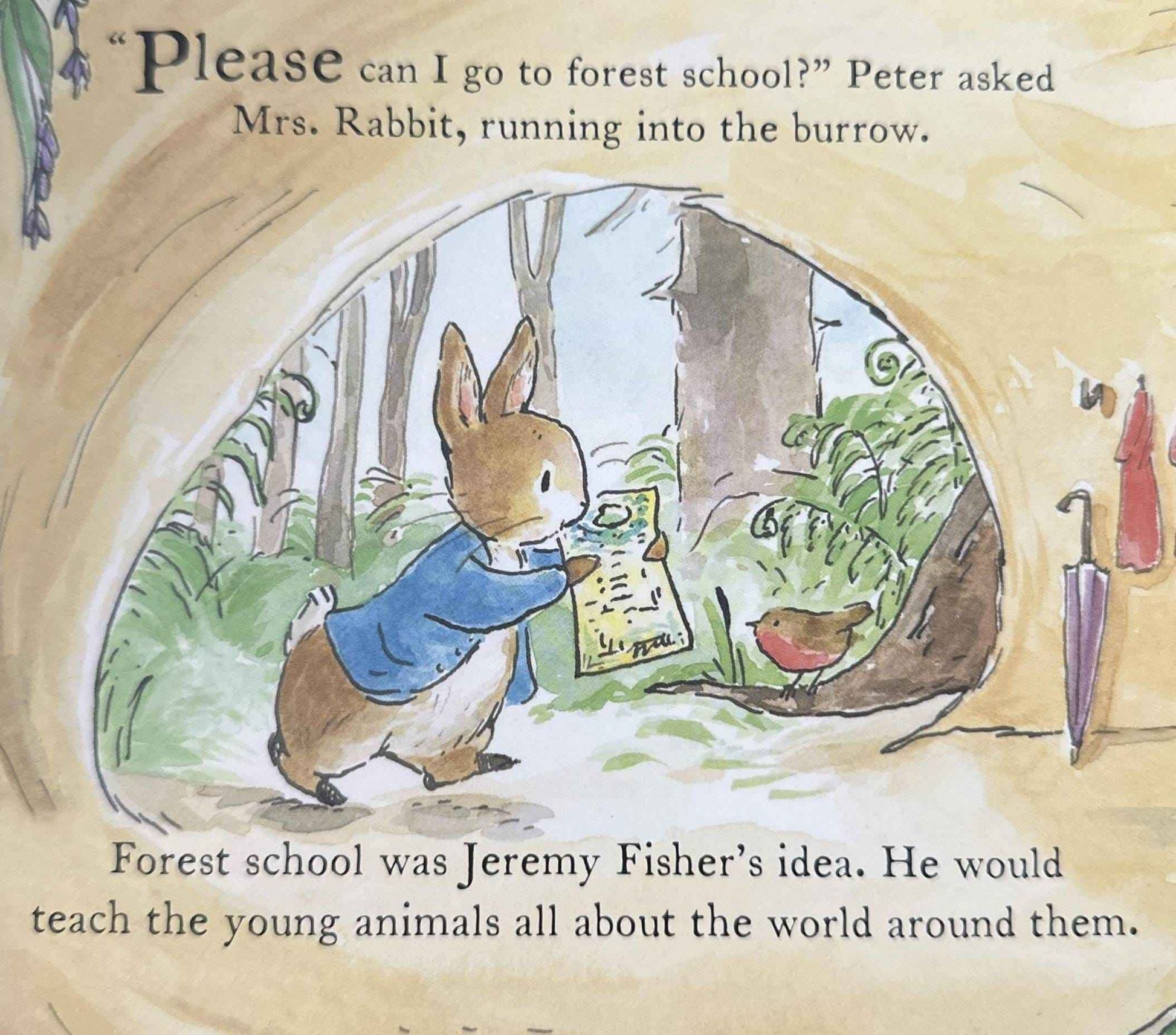 The World of Peter Rabbit: Starting School (Board Book)