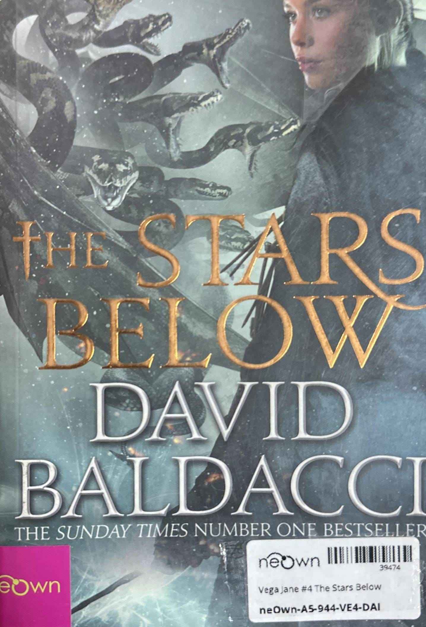 Vega Jane #4 The Stars Below