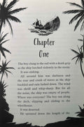 The Boy Who Met a Whale