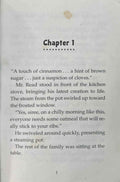 Arthur Chapter Books #4 Arthur and the Crunch Cereal Contest