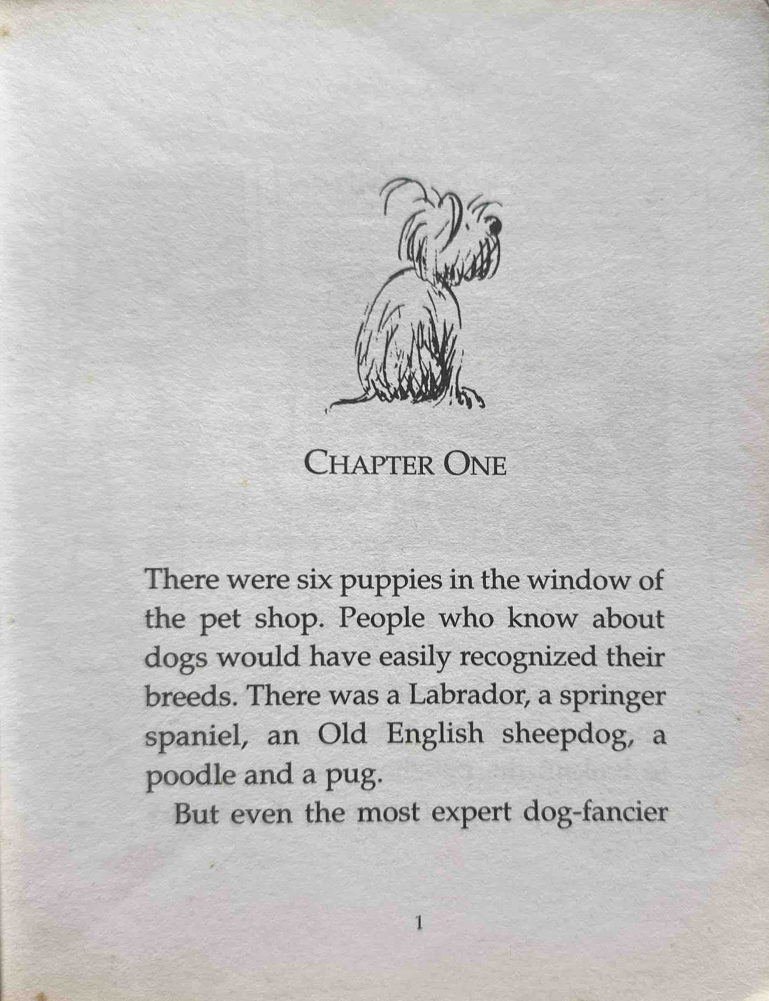 The Guard Dog