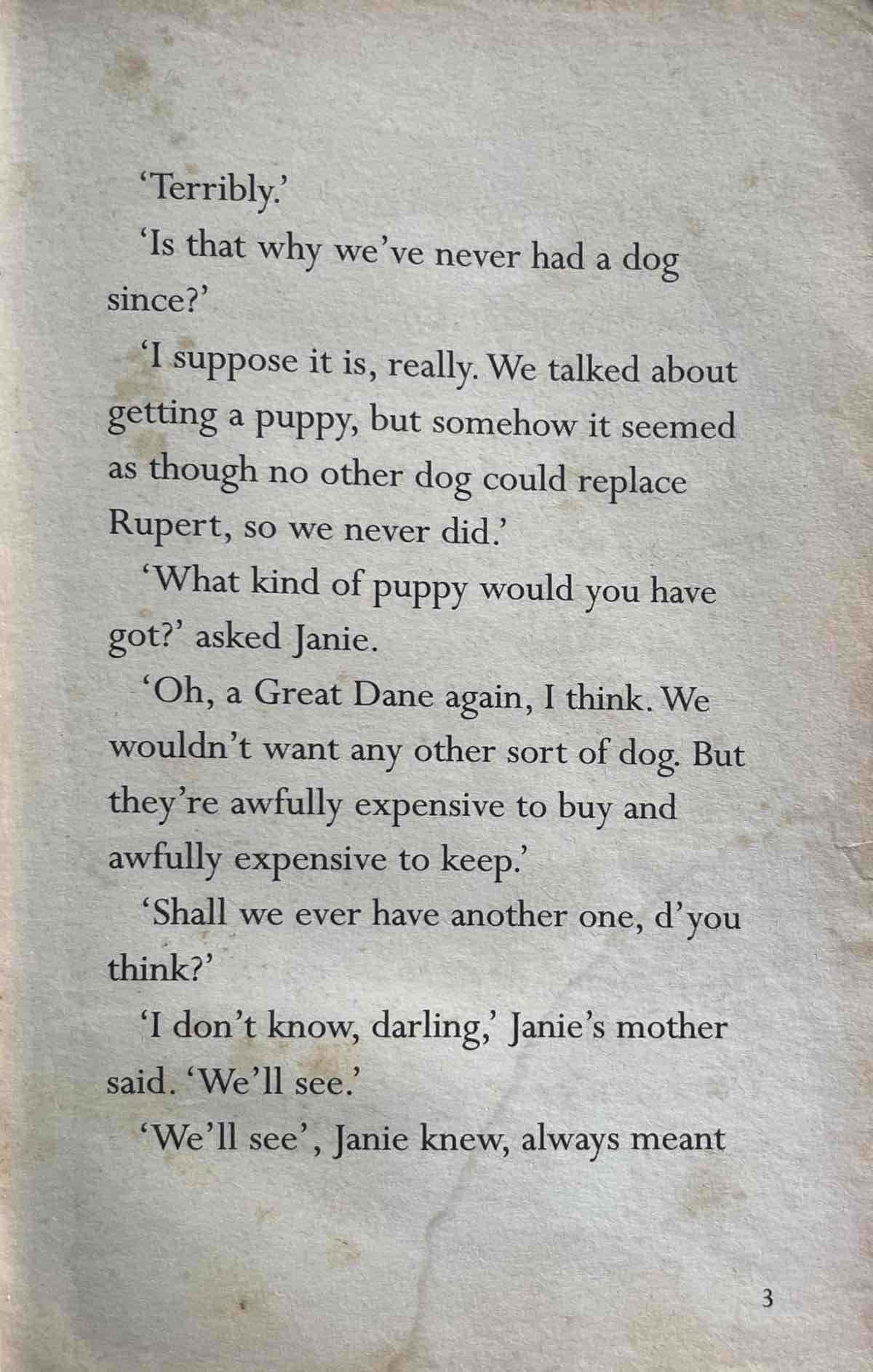 The Invisible Dog