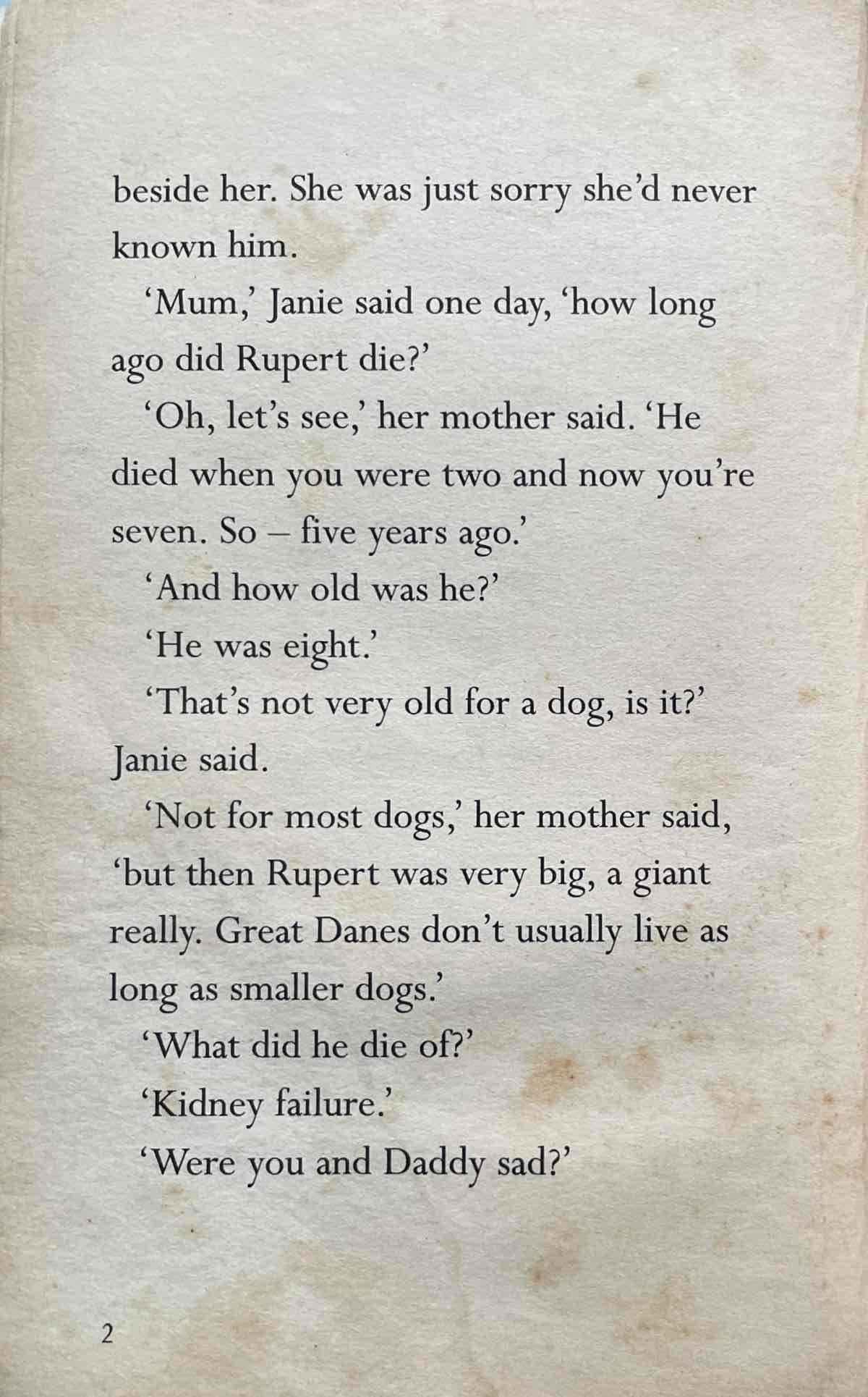 The Invisible Dog