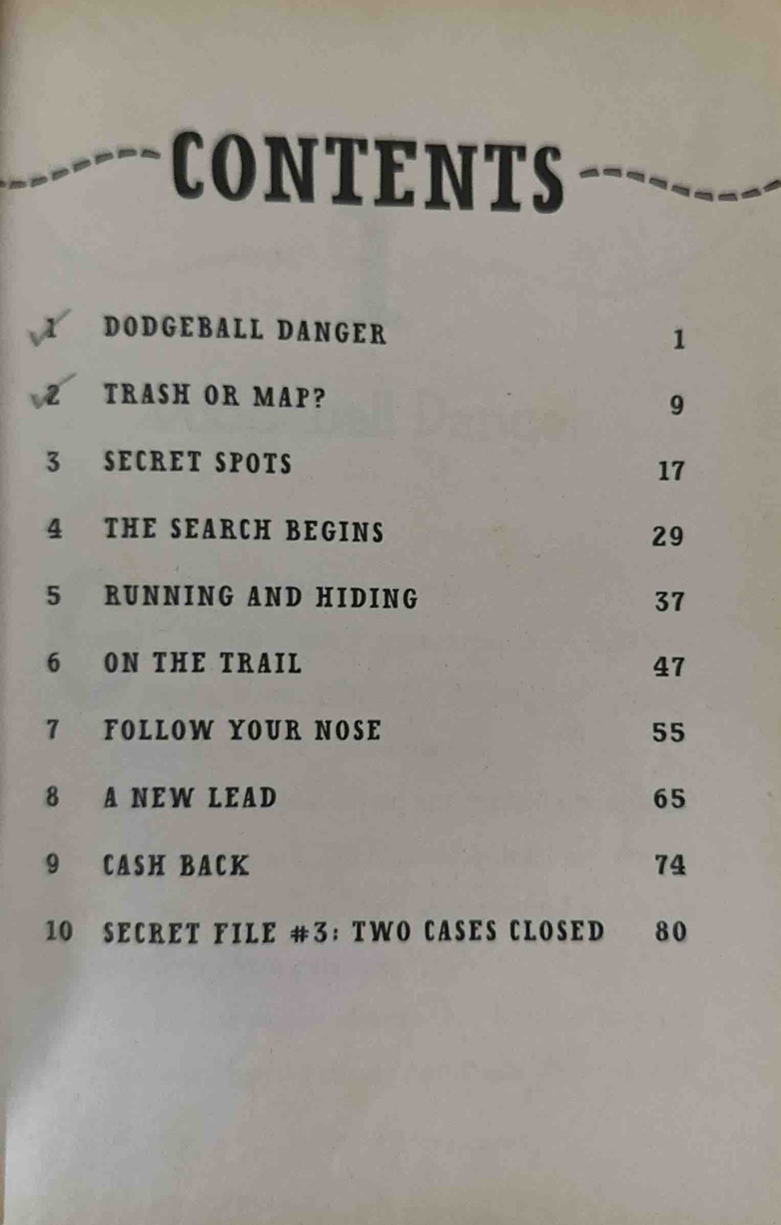 The Hardy Boys: Secret Files #3 Mystery Map