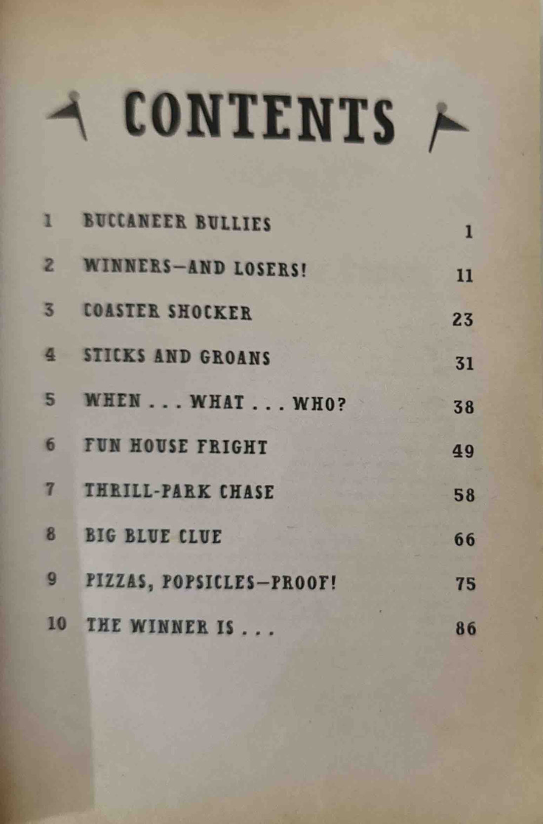 The Hardy Boys: Secret Files #9 The Great Coaster Caper