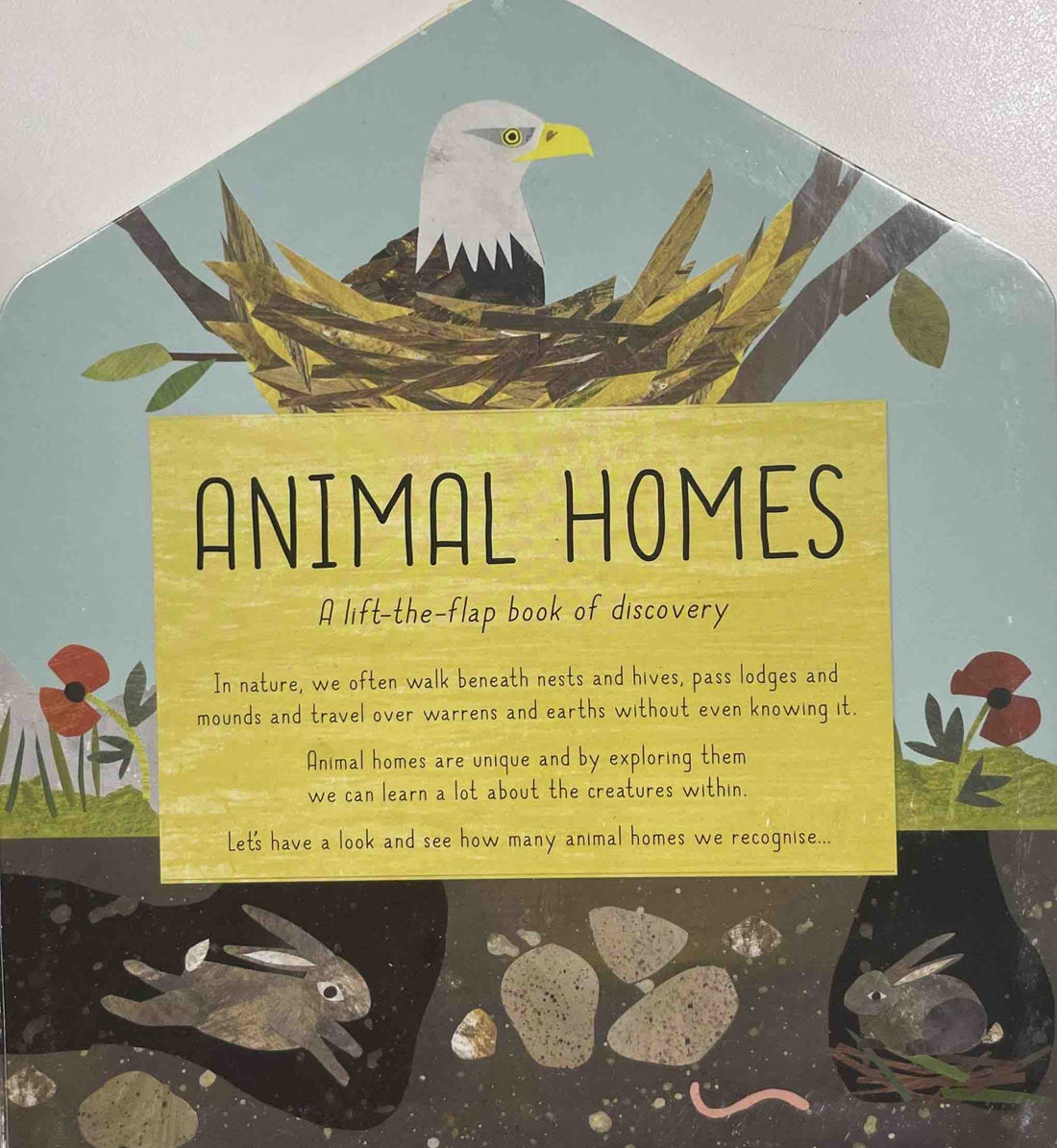 Animal Homes (A Lift-the-Flap Book of Discovery)