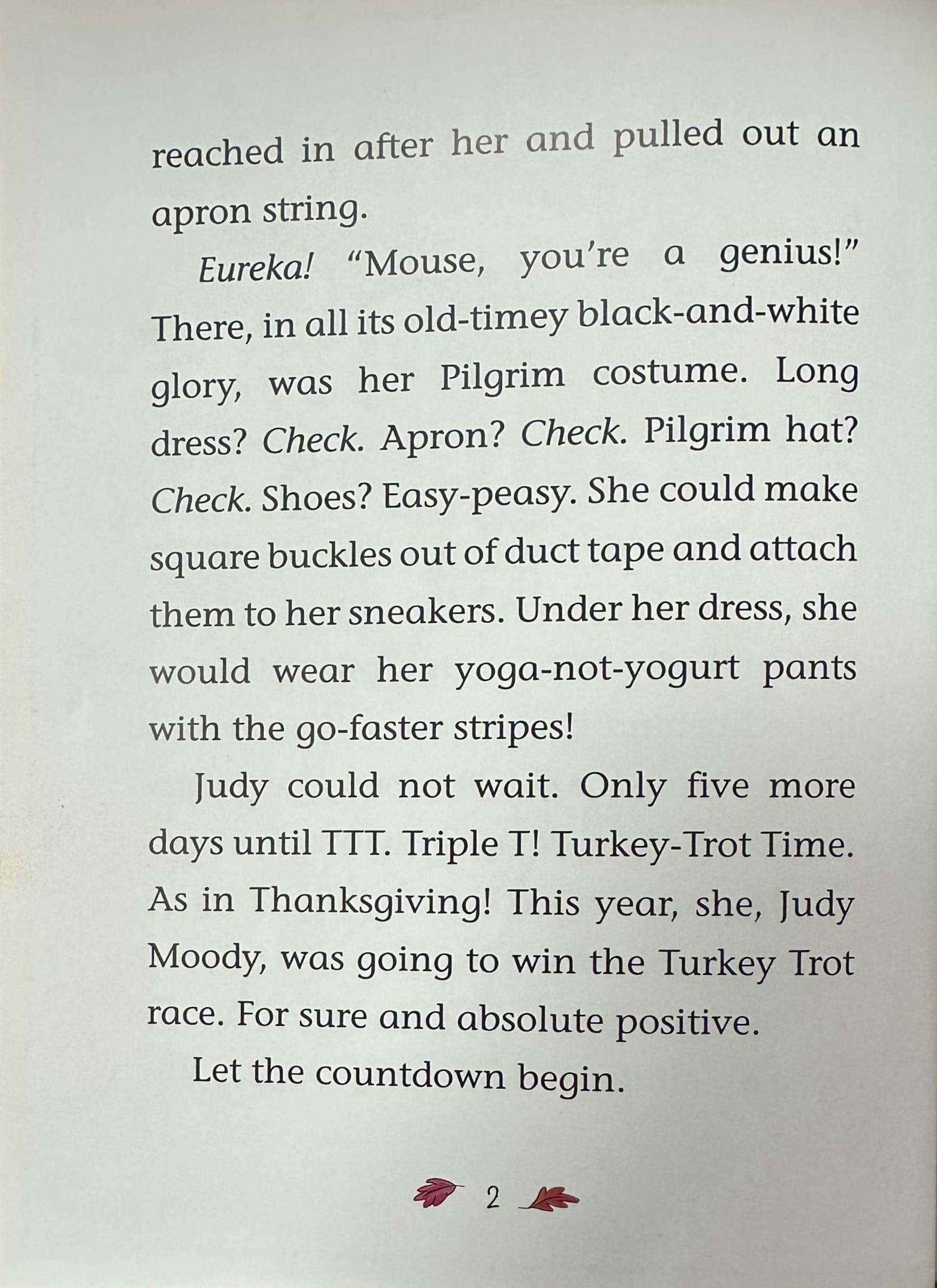 Judy Moody & Stink #4 The Wishbone Wish