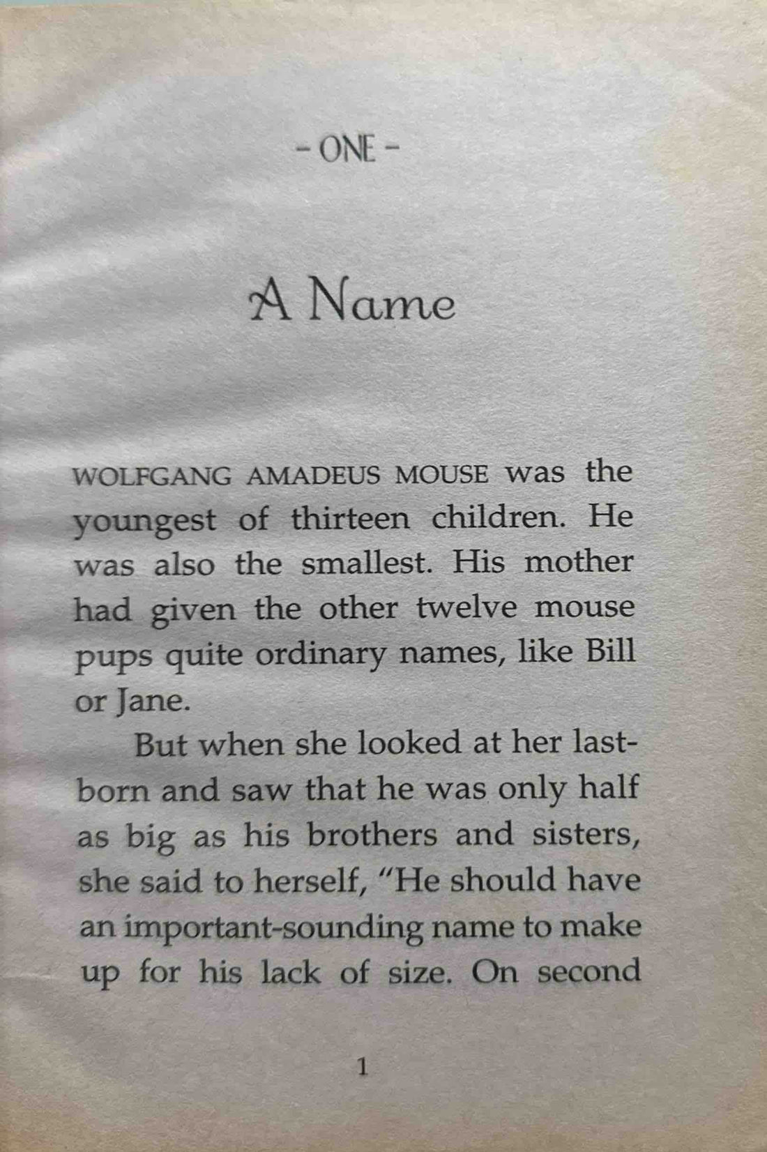 A Mouse Called Wolf