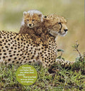 National Geographic Little Kids: Cheetahs Grow Up