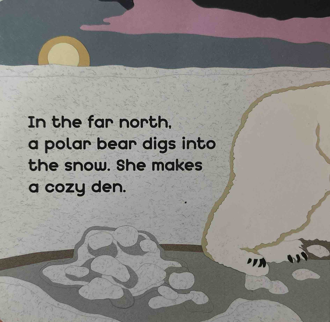 A Polar Bear's World (Board Book)