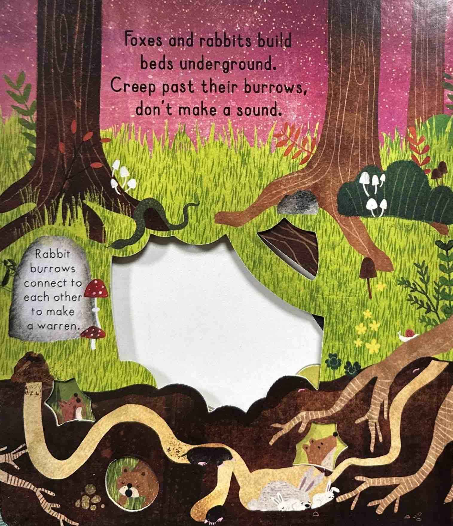 Little Explorers: Goodnight Forest (Board Book)