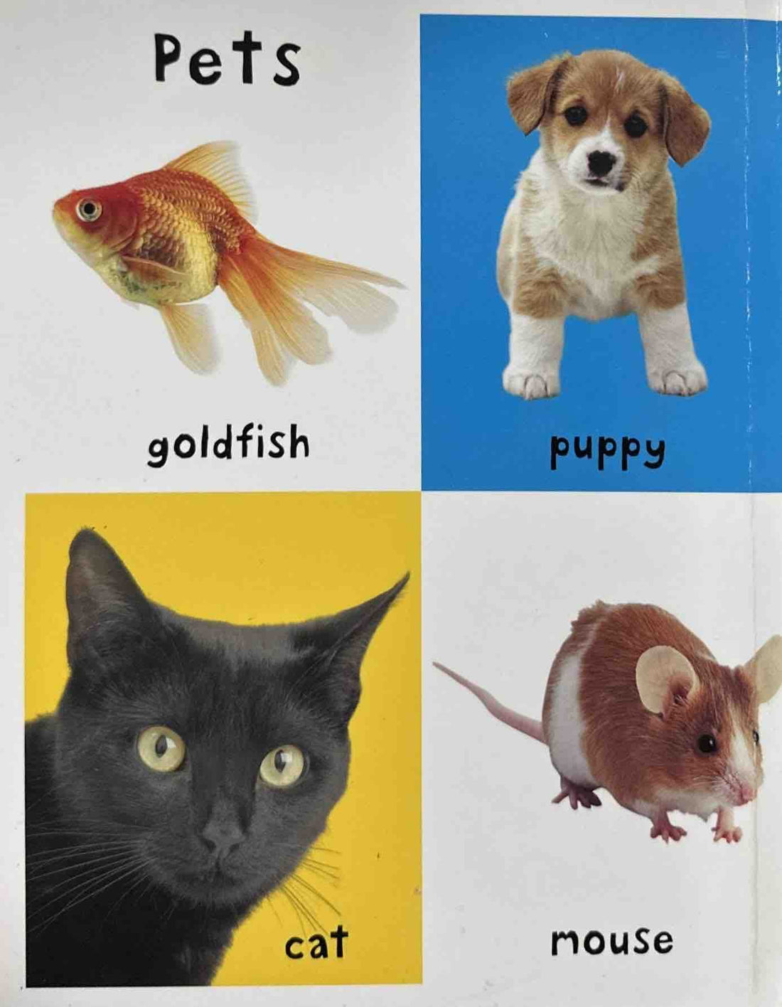 First 100 Animals (Board Book)