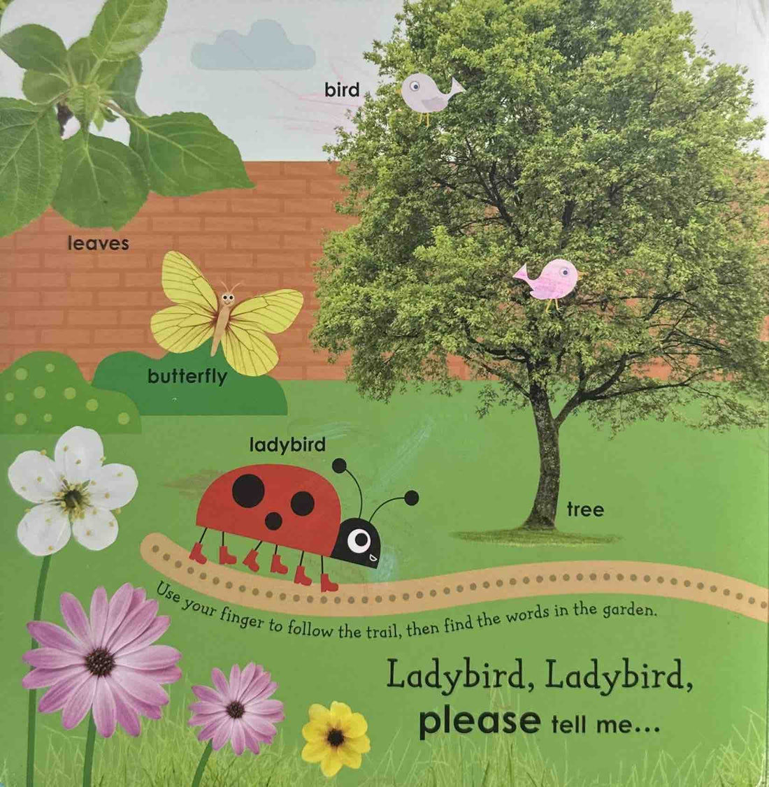 First Words With A Ladybird (Board Book)