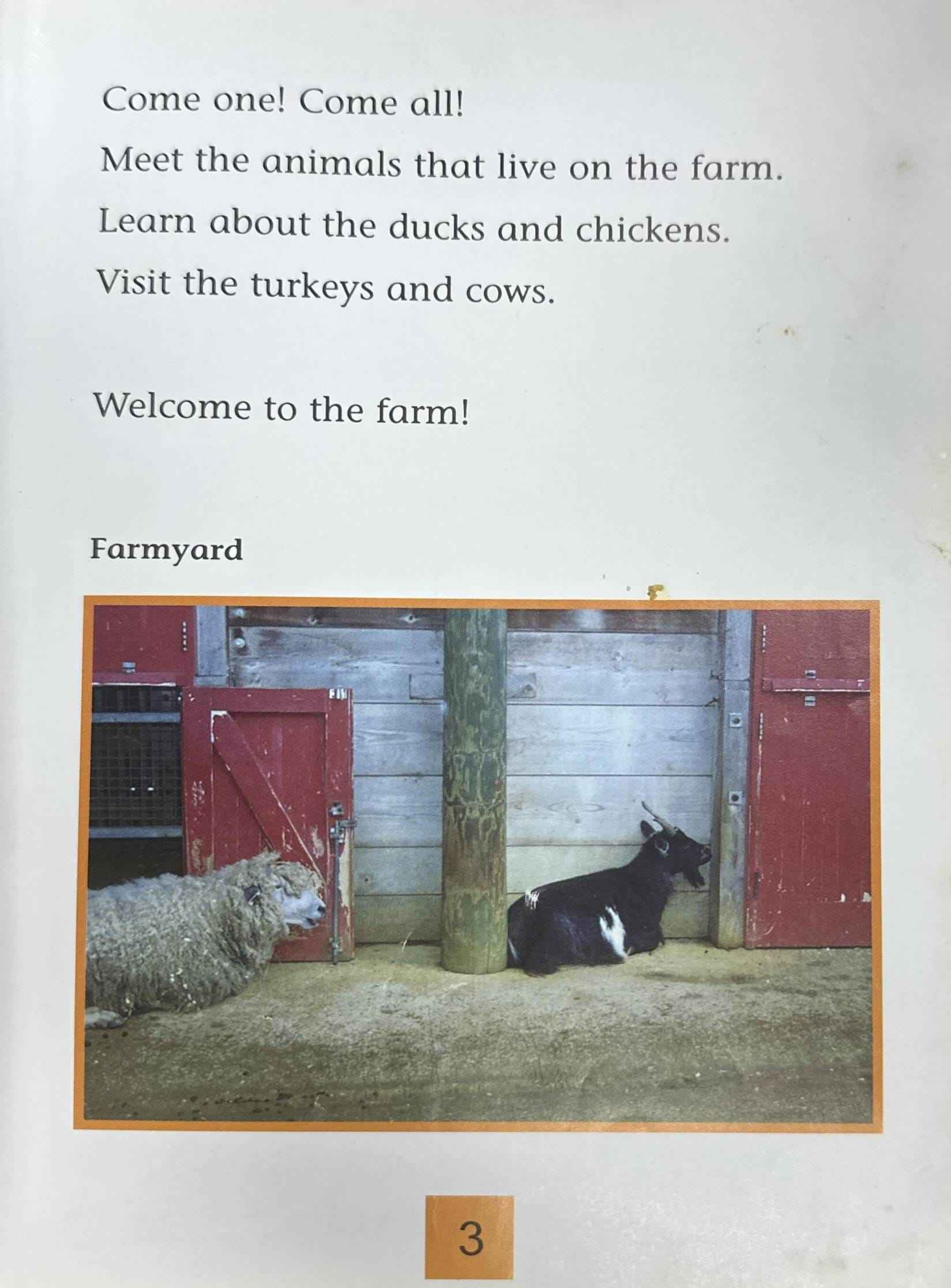 My World: Farm Animals