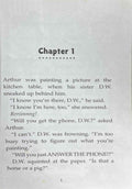 Arthur Chapter Books #21 Arthur and the Perfect Brother