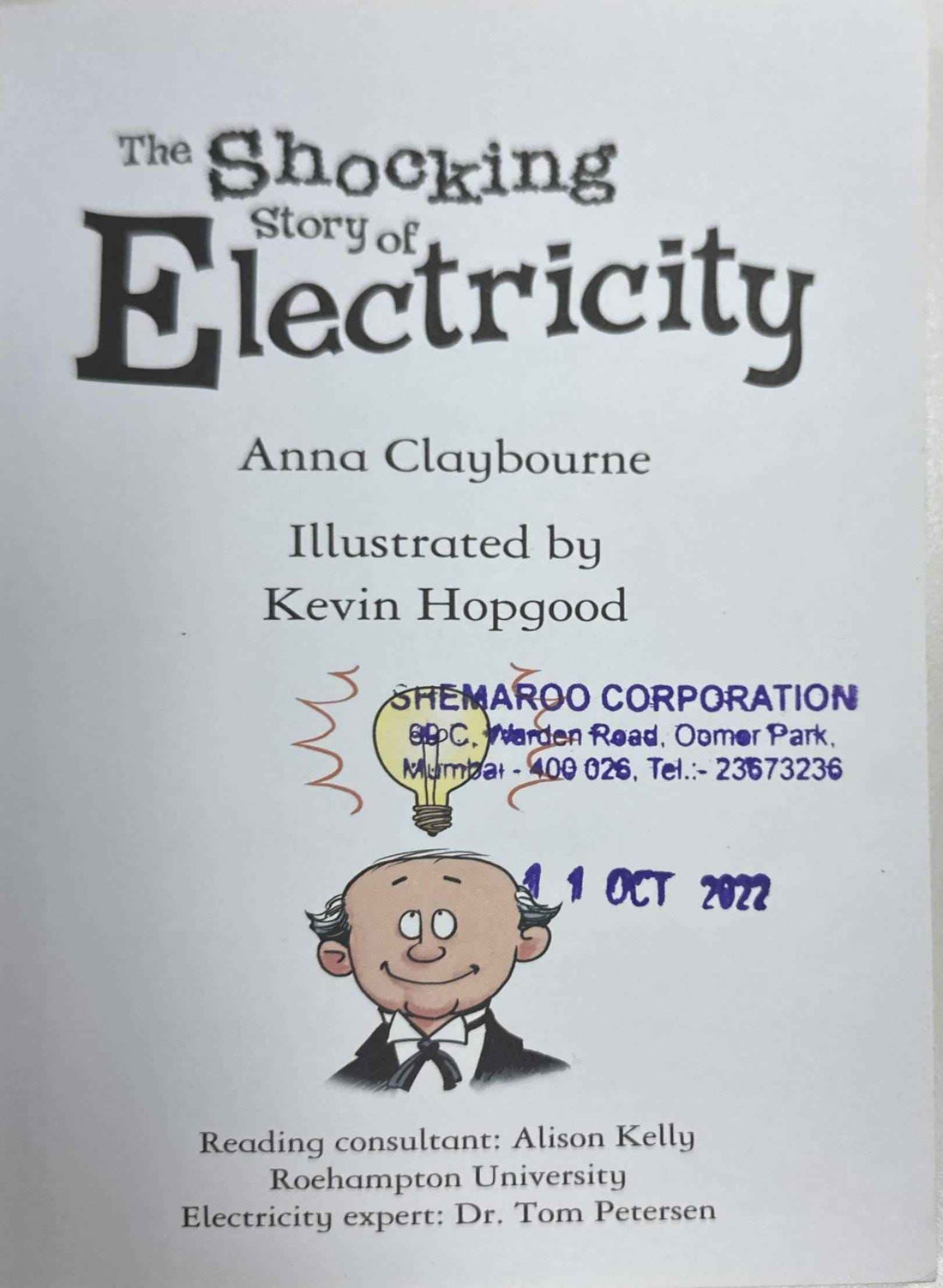 Usborne Young Reading Series Two: The Shocking Story of Electricity