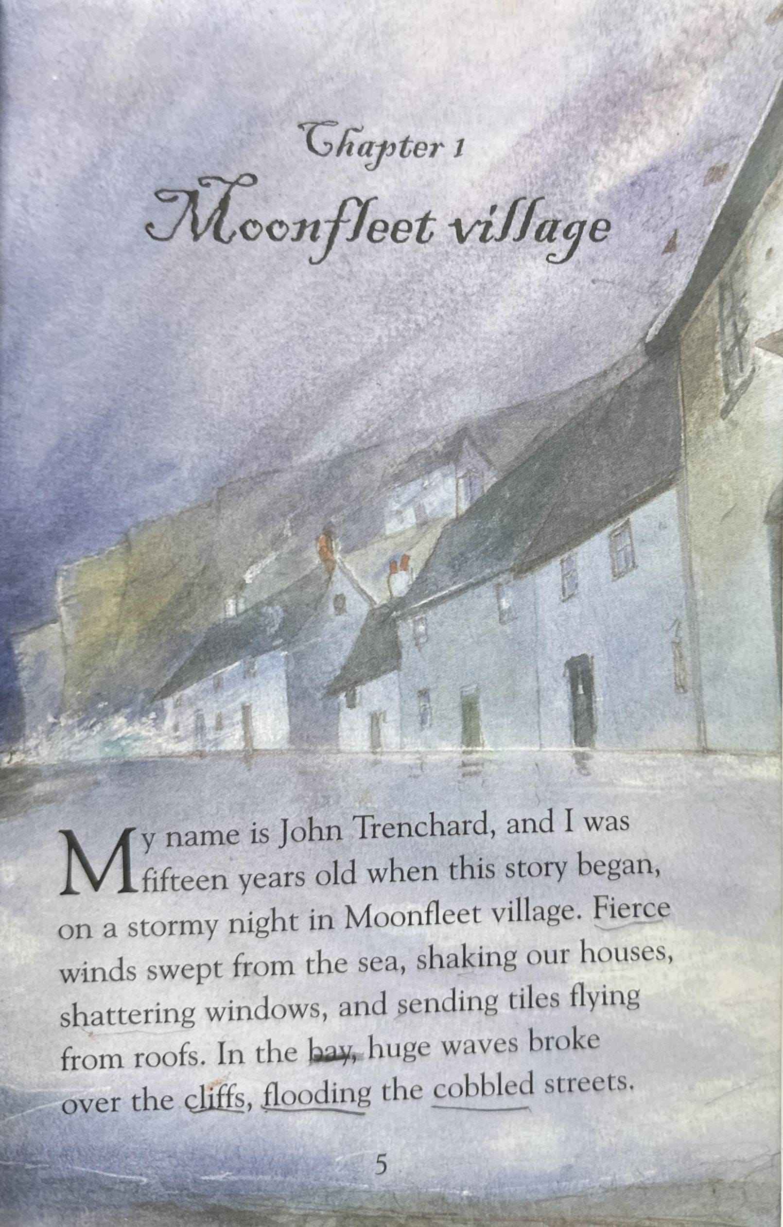 Usborne Young Reading Series Three: Moonfleet: A Classic Tale of Smuggling