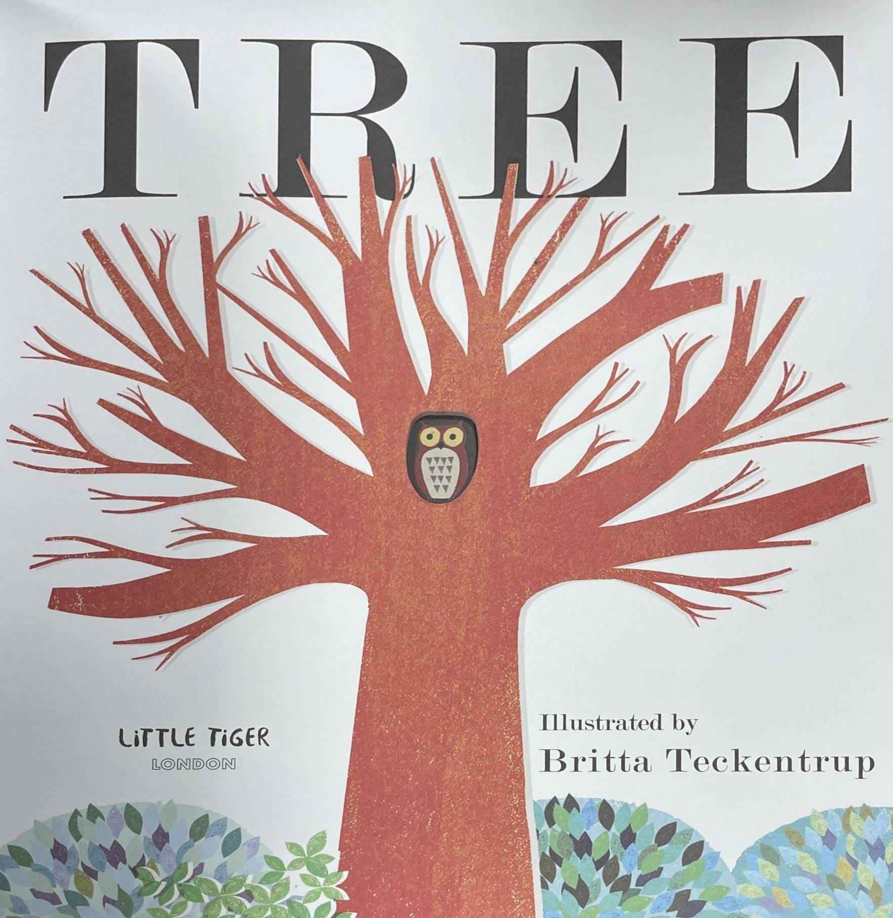 Peek-Through Nature: Tree (Seasons Come, Seasons Go) (Paperback)