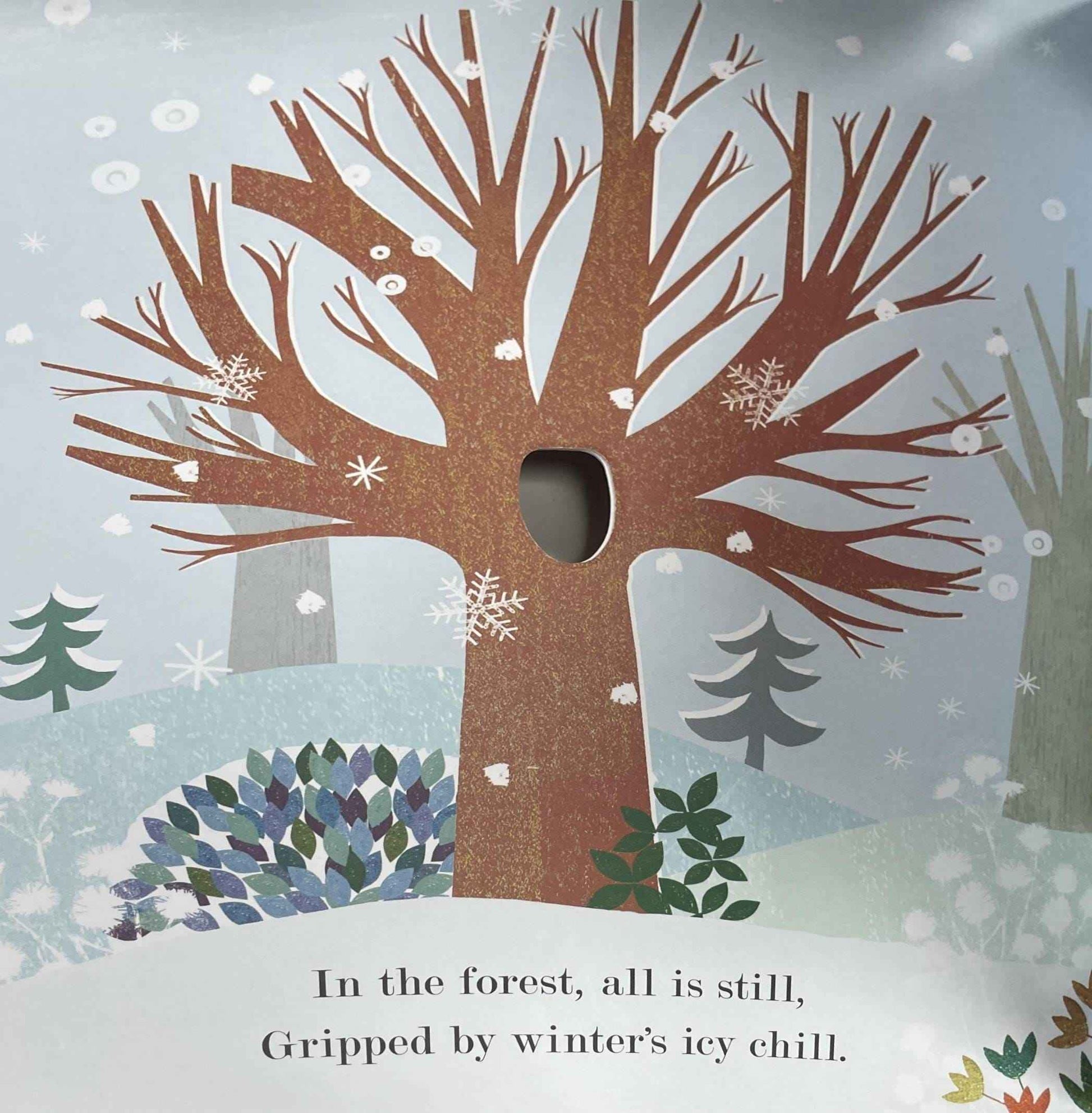 Peek-Through Nature: Tree (Seasons Come, Seasons Go) (Paperback)