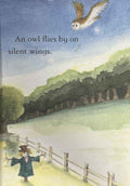 Owls (Usborne First Reading Level Four)