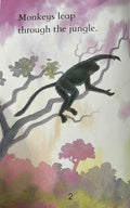 Monkeys (Usborne First Reading Level Three)
