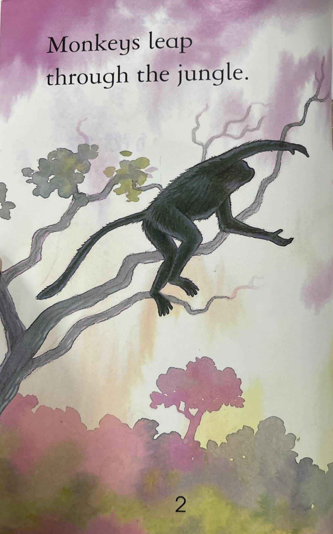 Monkeys (Usborne First Reading Level Three)