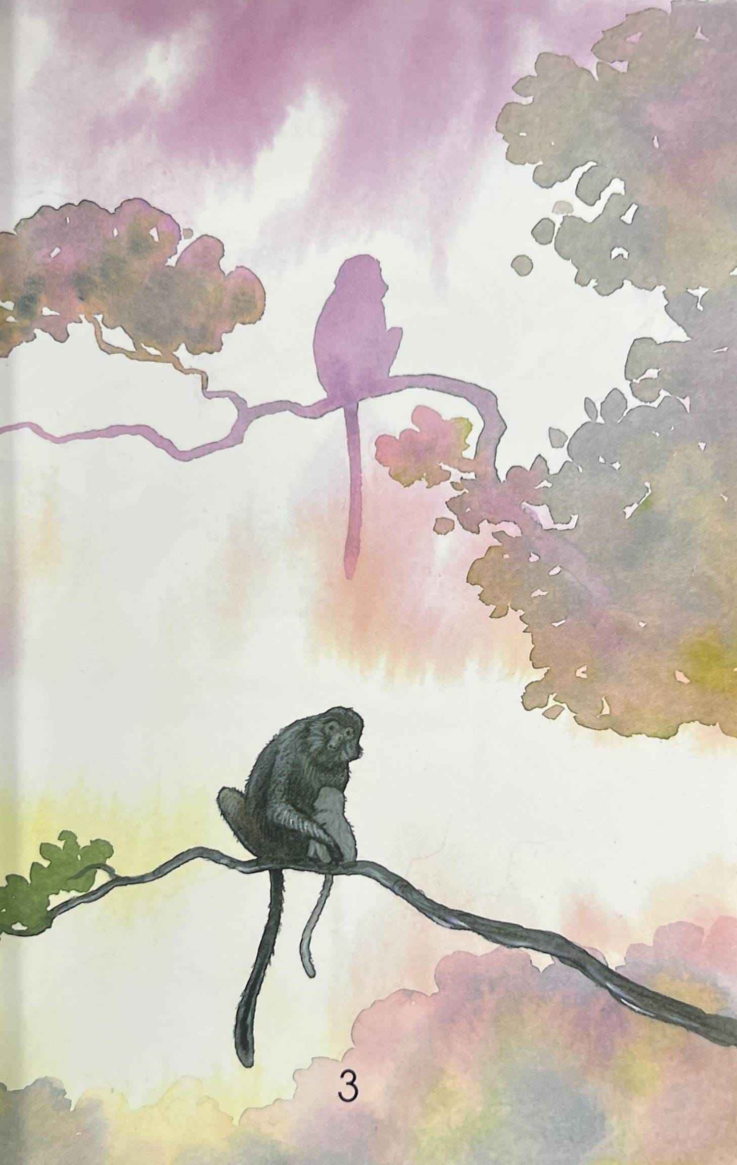Monkeys (Usborne First Reading Level Three)