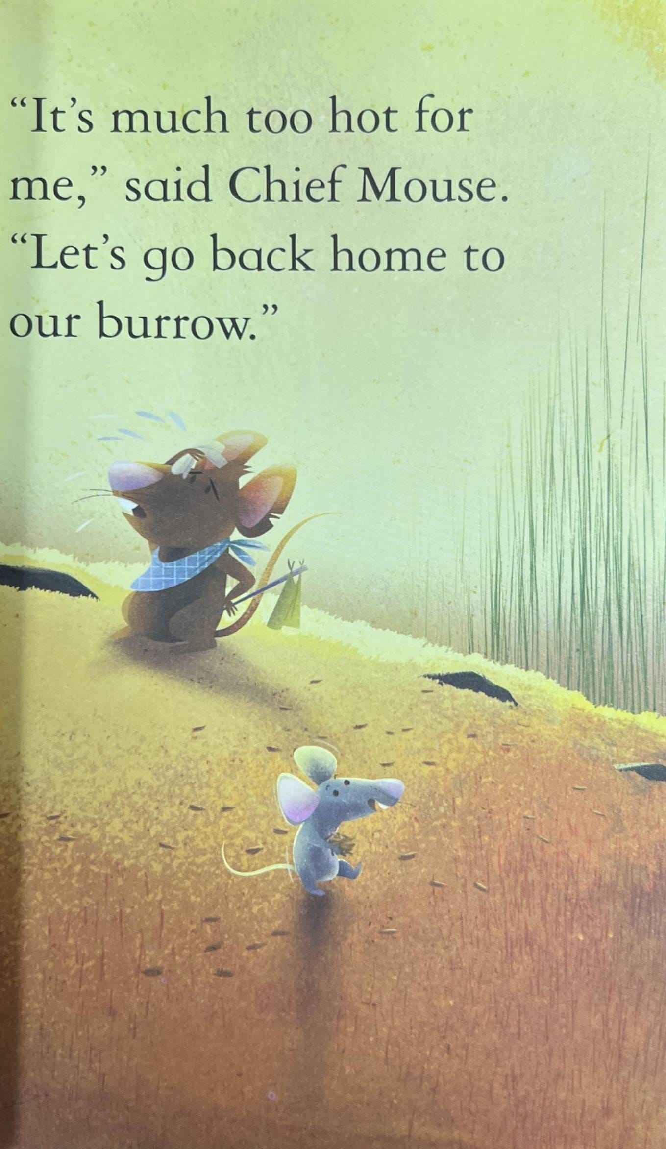 The Lion and the Mouse (Usborne First Reading Level Three)