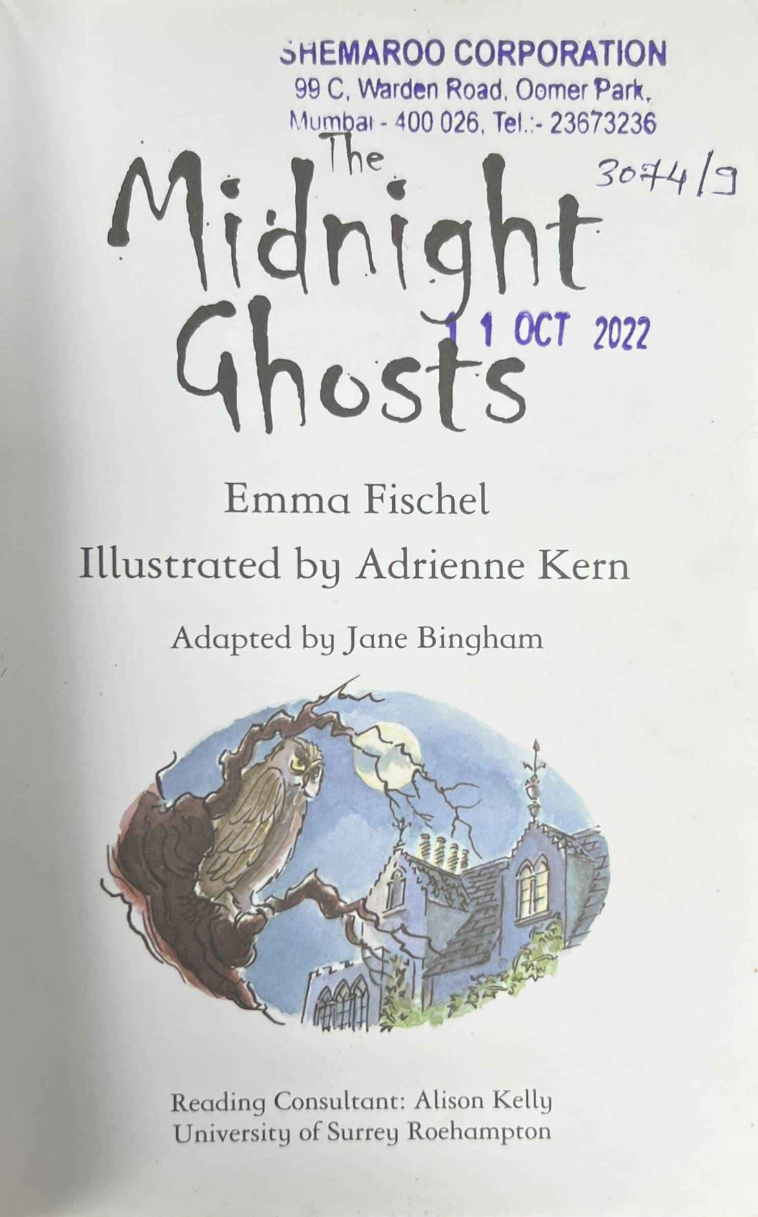 Usborne Young Reading Series Two: The Midnight Ghosts