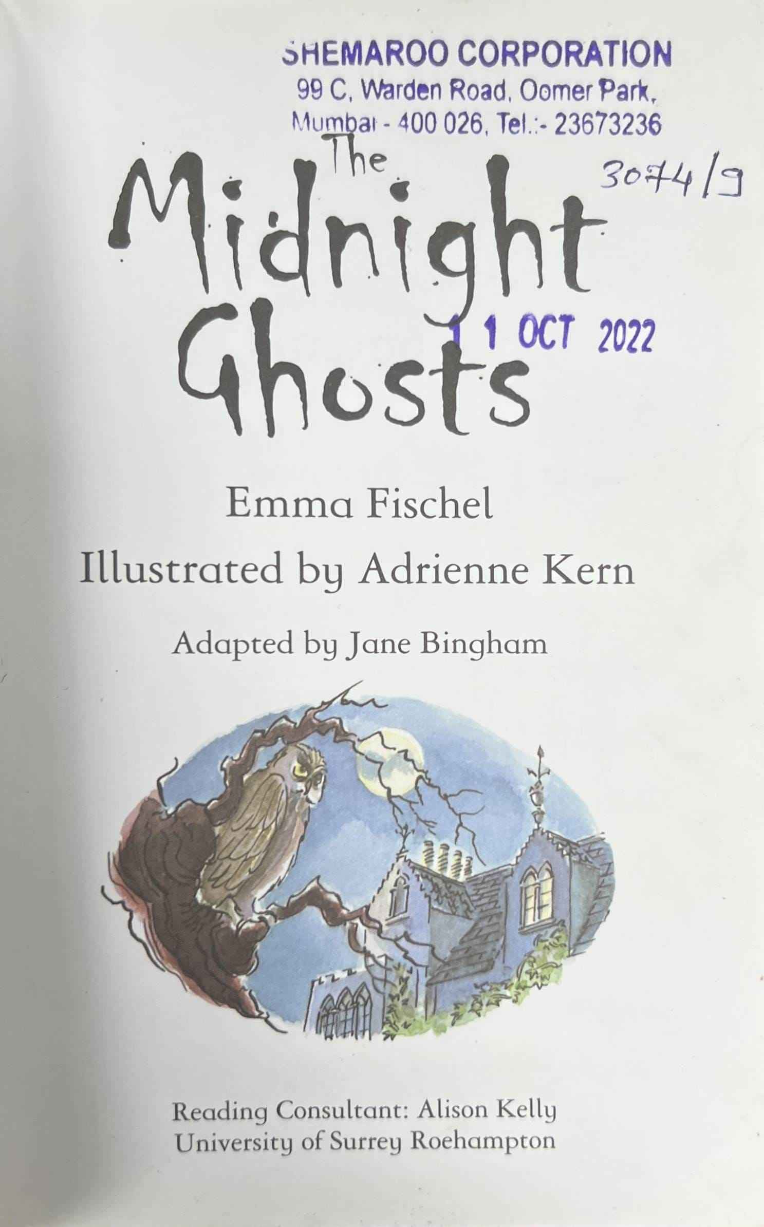 Usborne Young Reading Series Two: The Midnight Ghosts
