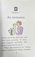 Usborne Young Reading Series Two: The Midnight Ghosts