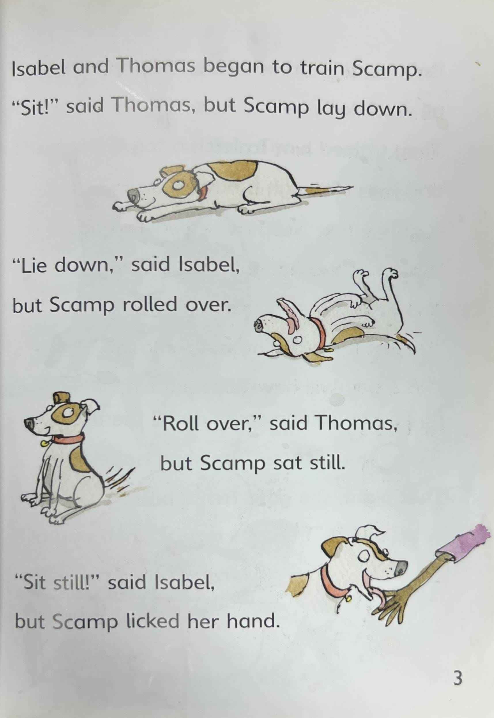 The Dog Show