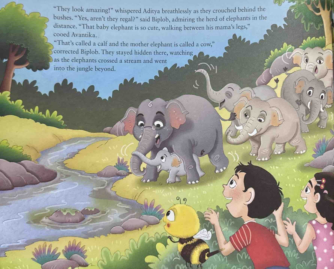 The Adventures of Biplob the Bumblebee: Vol.6