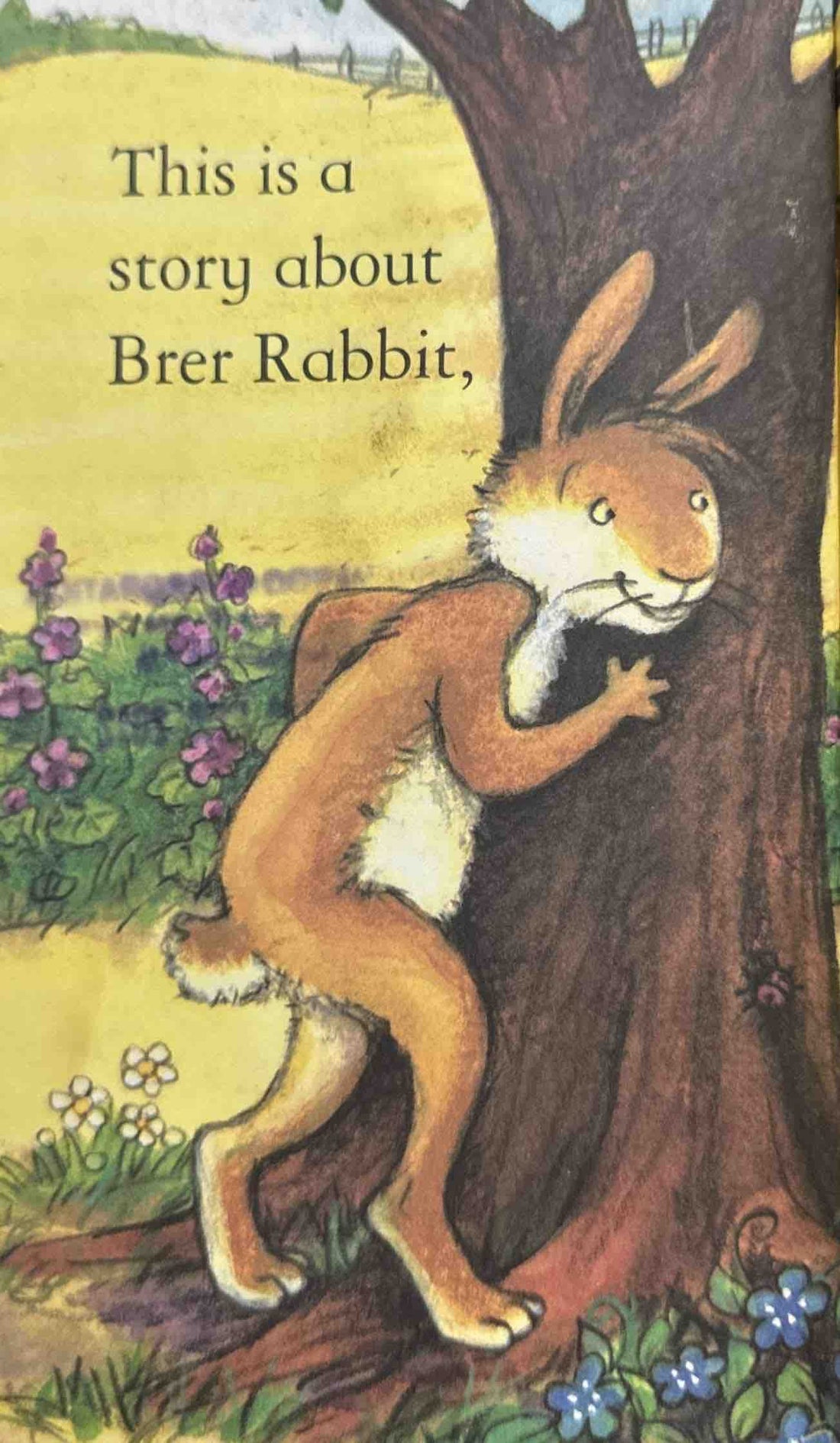 Usborne First Reading Level Two: Brer Rabbit Down the Well