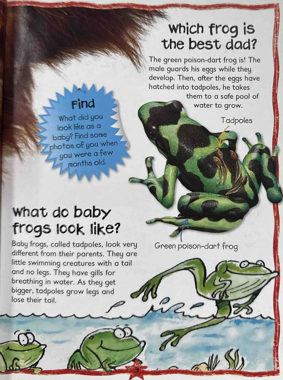 Baby Animals (Questions and Answers)