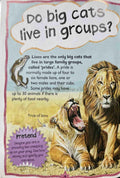 Big Cats (Questions and Answers)