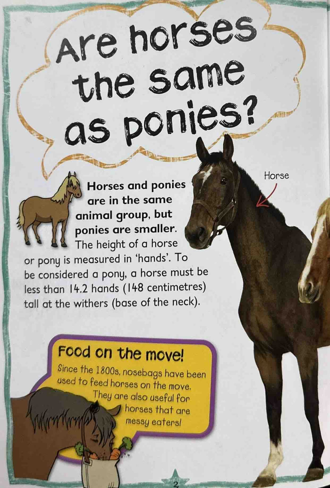 Horses and Ponies (Questions and Answers)