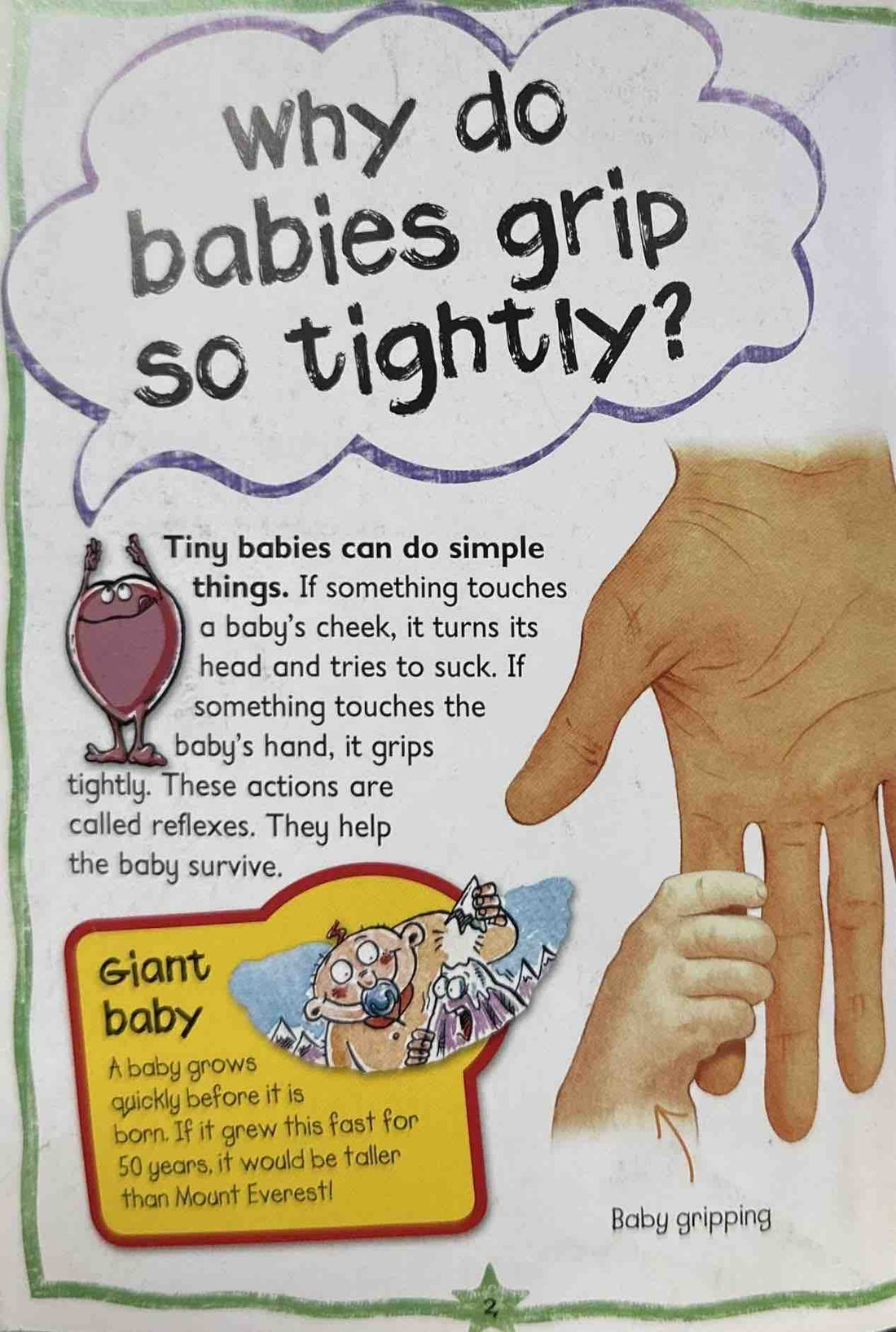 Human Body (Questions and Answers)