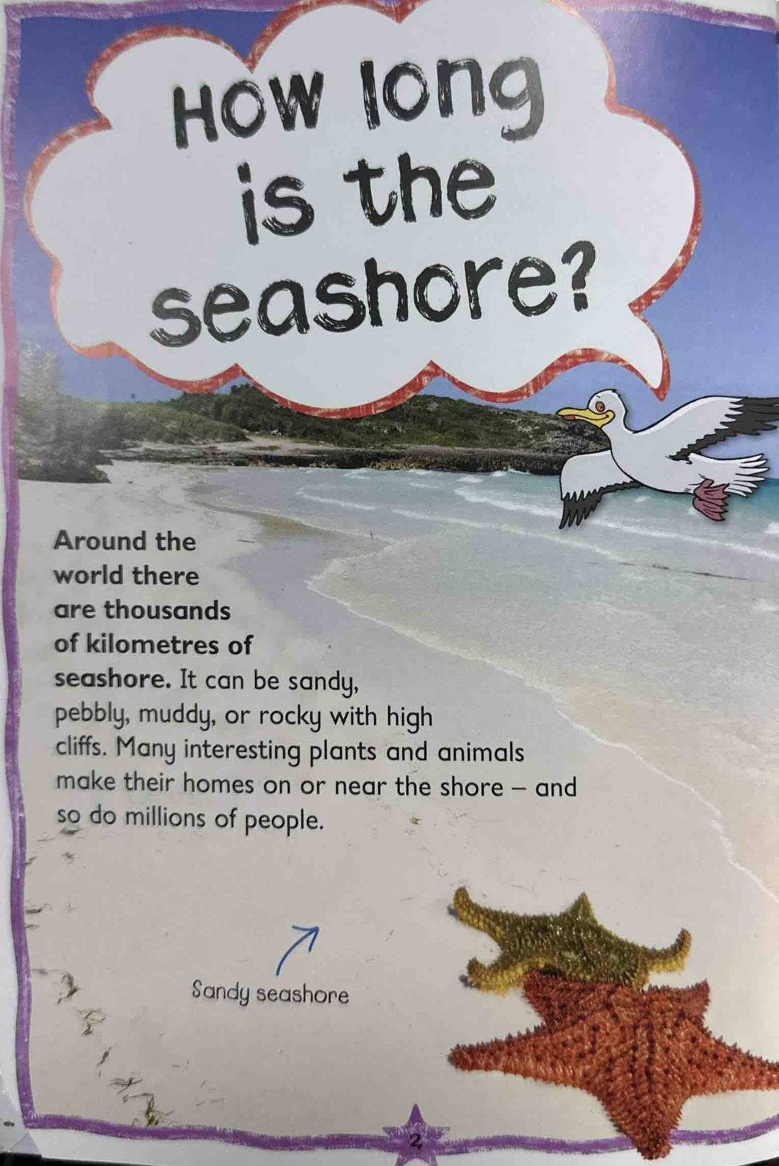 Seashore (Questions and Answers)