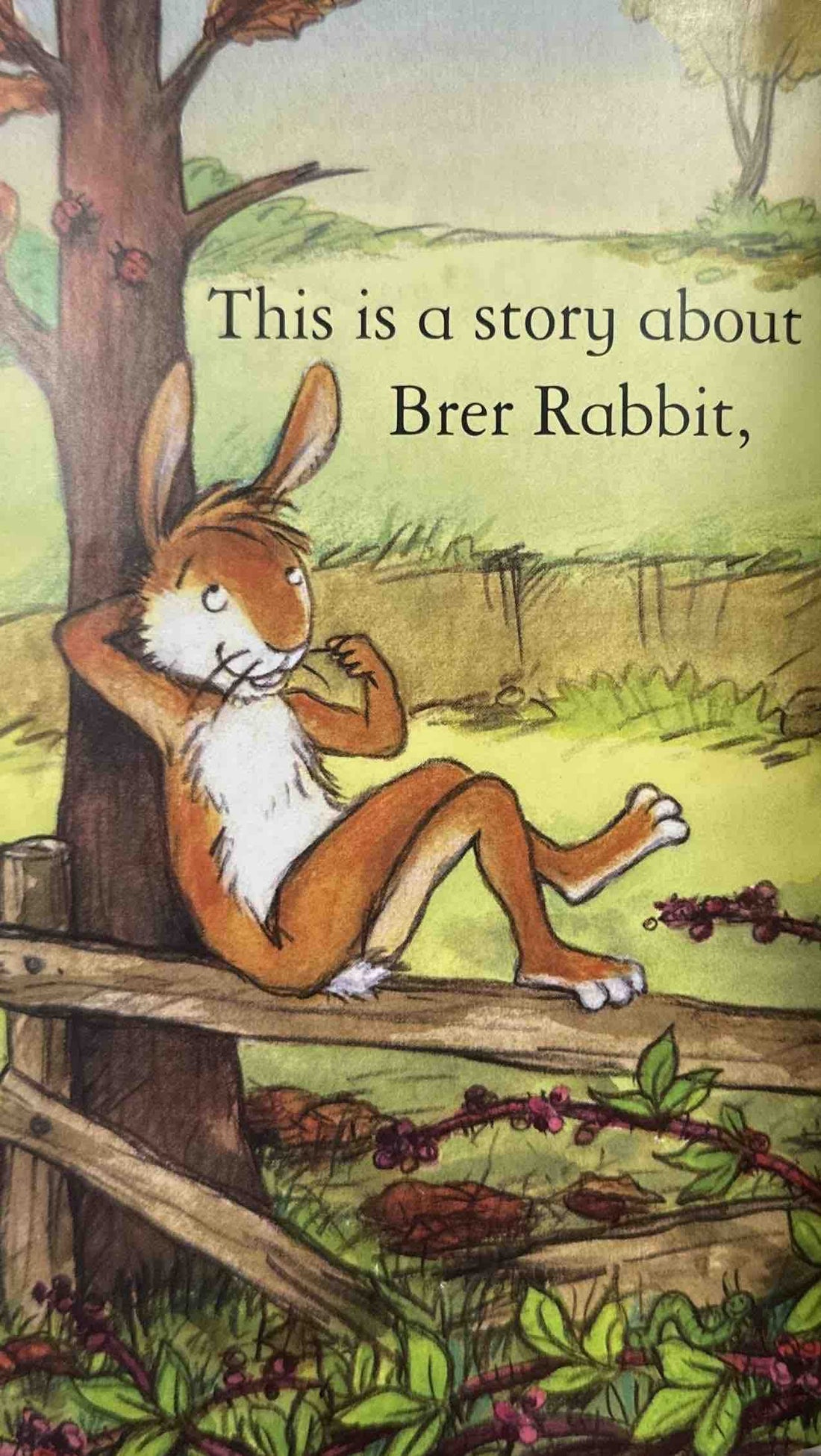 Usborne First Reading Level Two: Brer Rabbit and the Blackberry Bush