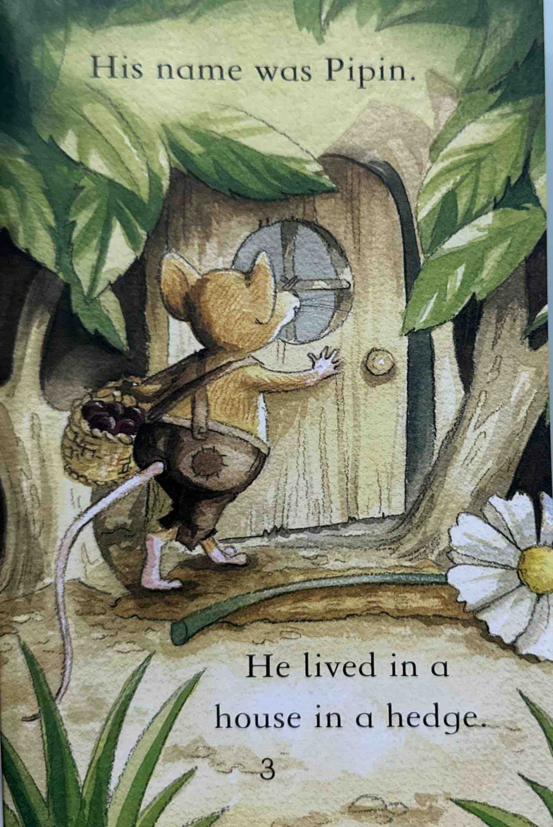 The Town Mouse and the Country Mouse (Usborne Young Reading Series Three)