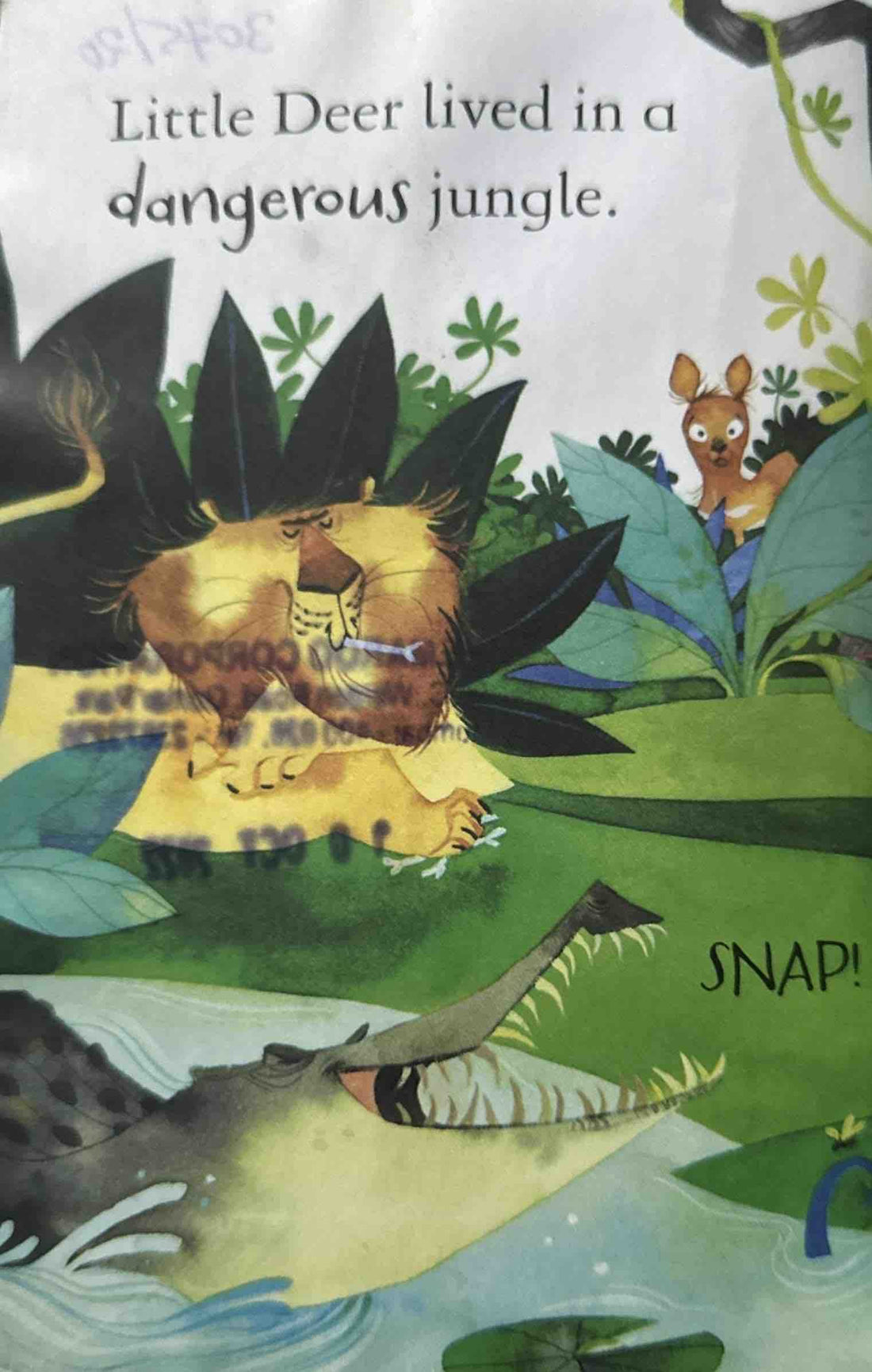 Usborne First Reading Level Three: The King's Pudding