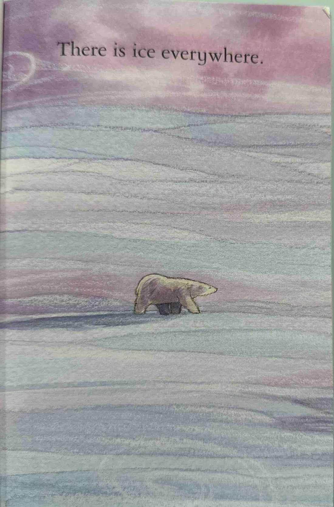 Polar Bears (Usborne First Reading Level Four)