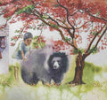 Karadi Tales: Dancing Bear