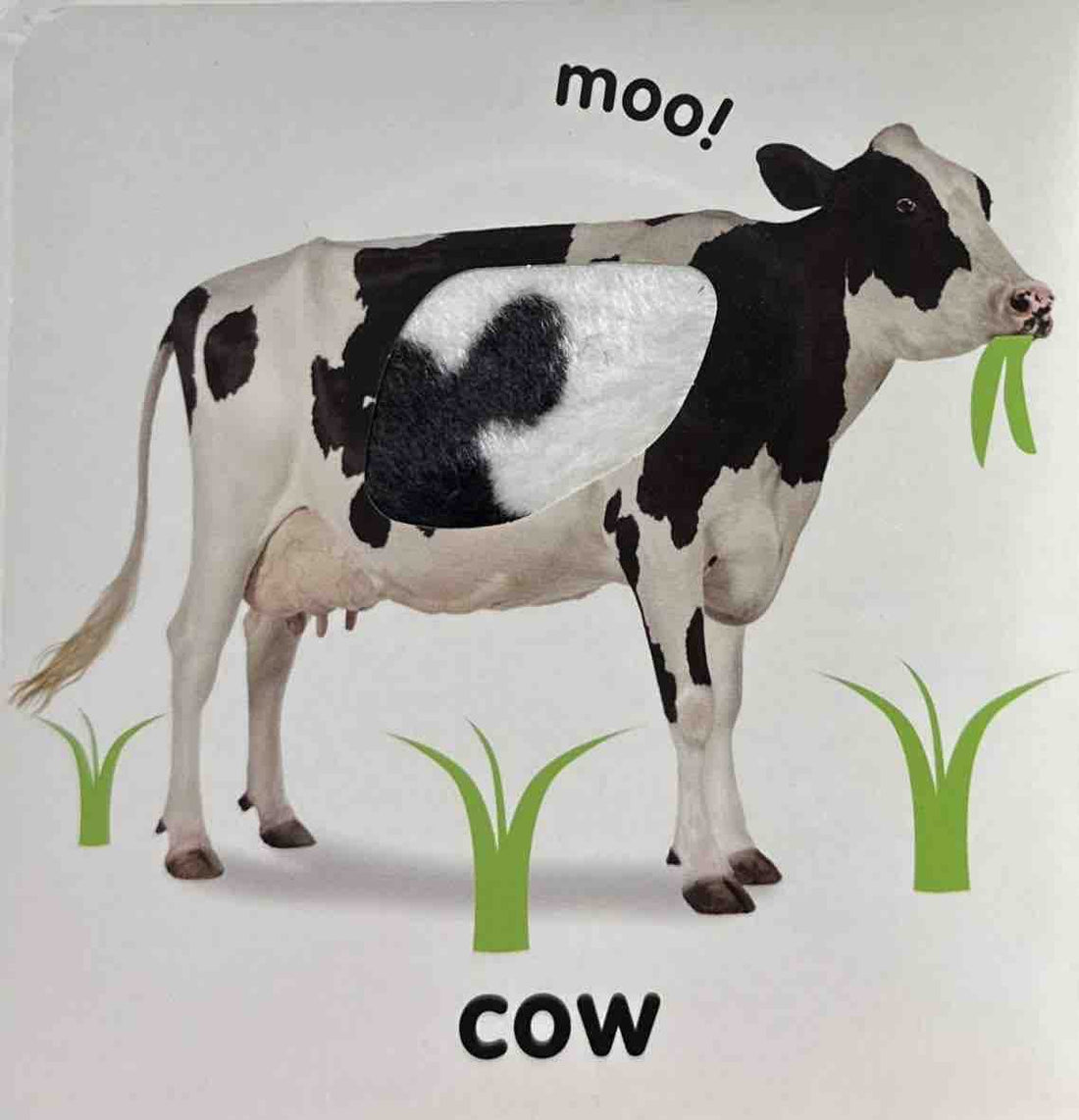 Baby Touch and Feel: Farm Animals (Baby Touch and Feel)