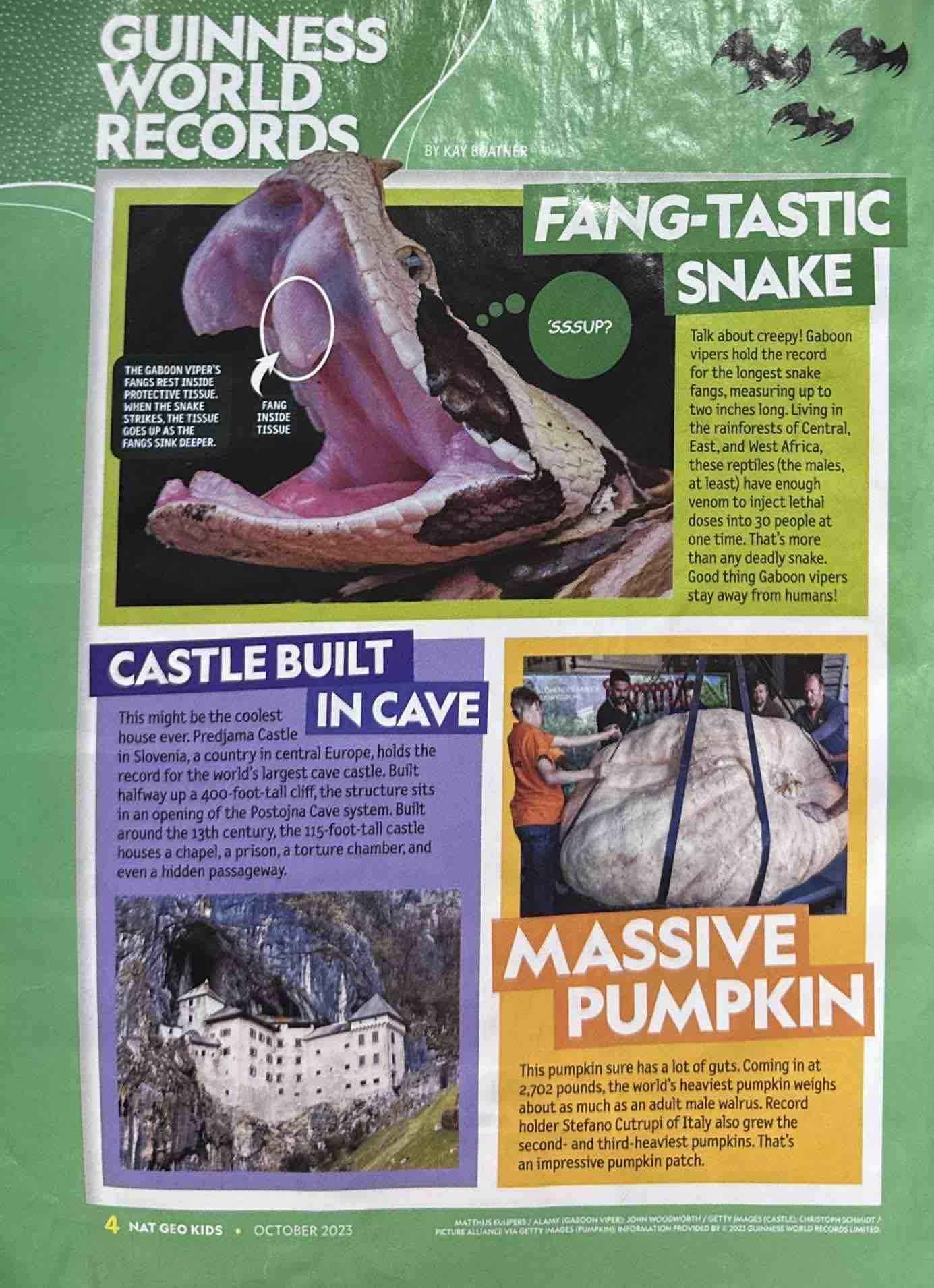 National Geographic Kids: Ghostly Bears, Freaky Frogs, and More!