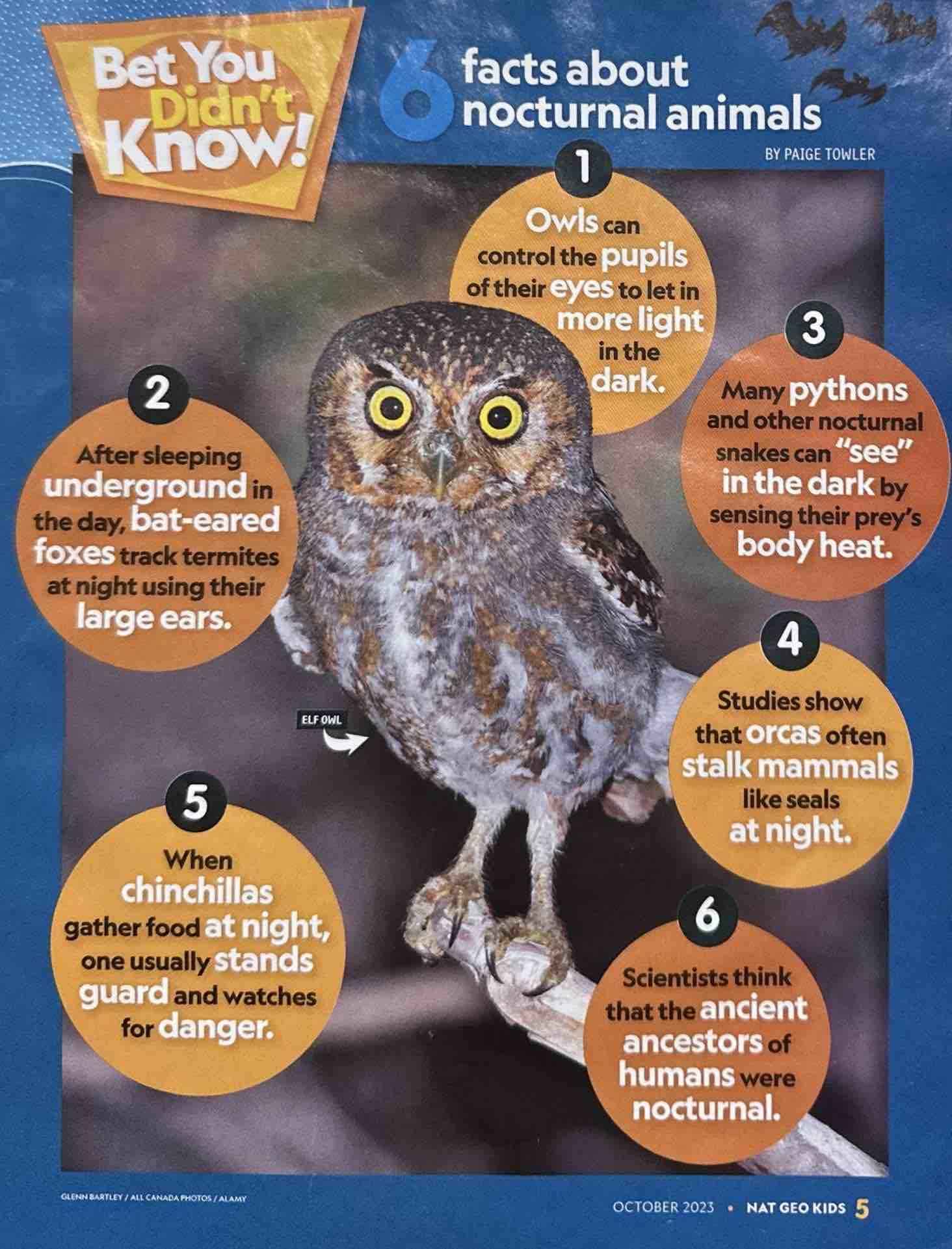 National Geographic Kids: Ghostly Bears, Freaky Frogs, and More!
