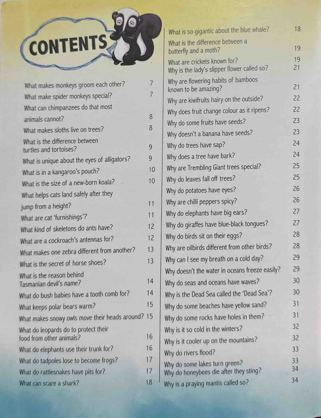 Amazing Questions & Answers: Our World