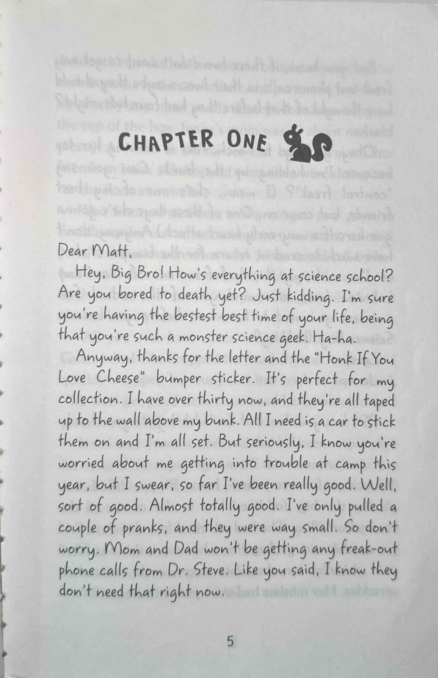 Summer Camp Secrets #2 Prankster Queen